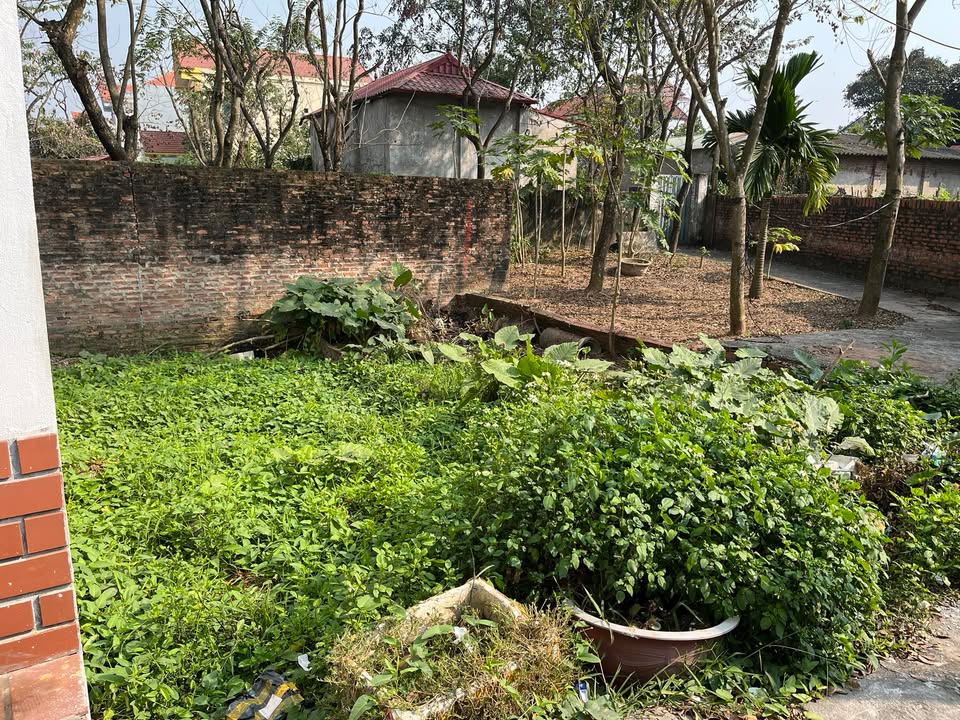 Bán Đất Đại Thanh 37m² Sổ Đỏ Chính Chủ - Giá Rẻ Nhất Khu Vực