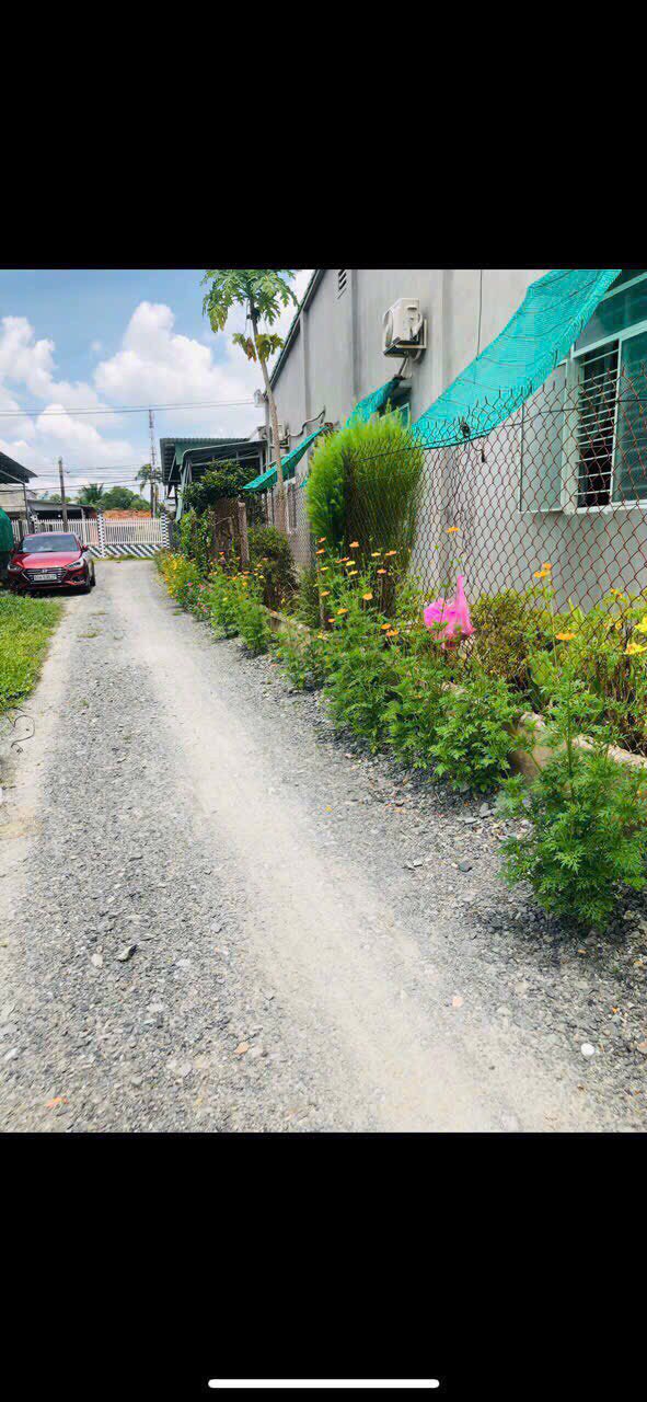 Đất nền Cẩm Giang, Gò Dầu, Tây Ninh 150m² - Sổ hồng sẵn, giá 580 triệu