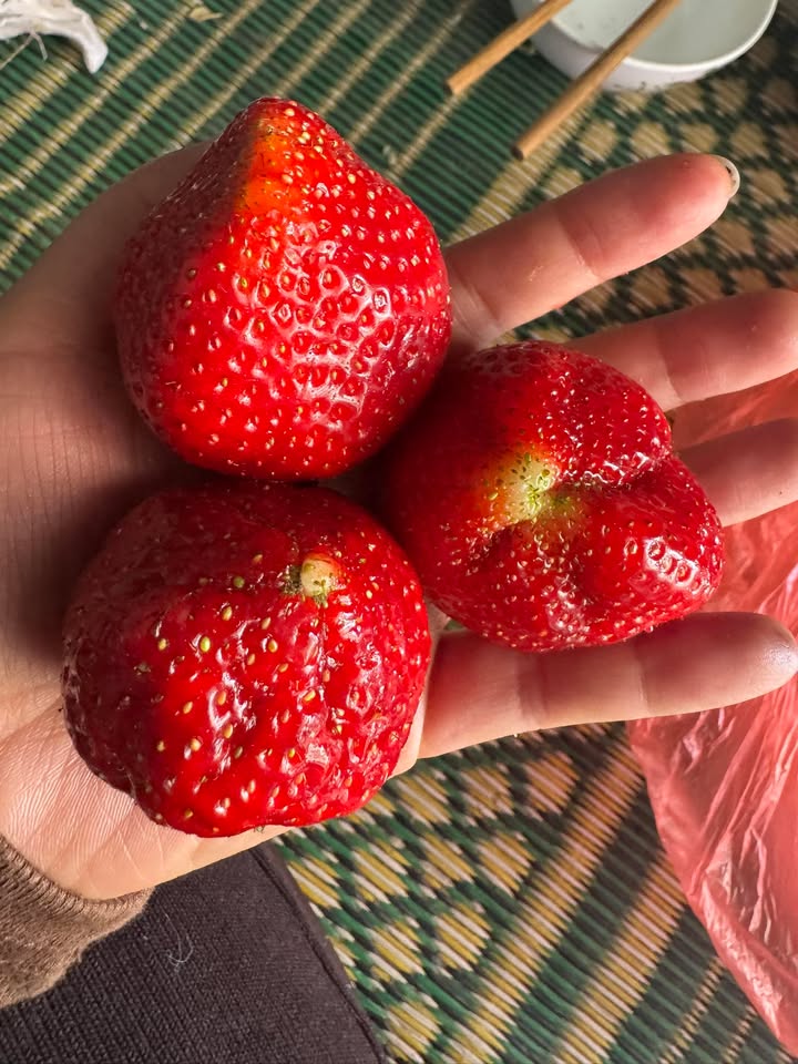 Đất nền 133m² mặt tiền QL43, Sơn La - Sổ đỏ sẵn, đầu tư sinh lời