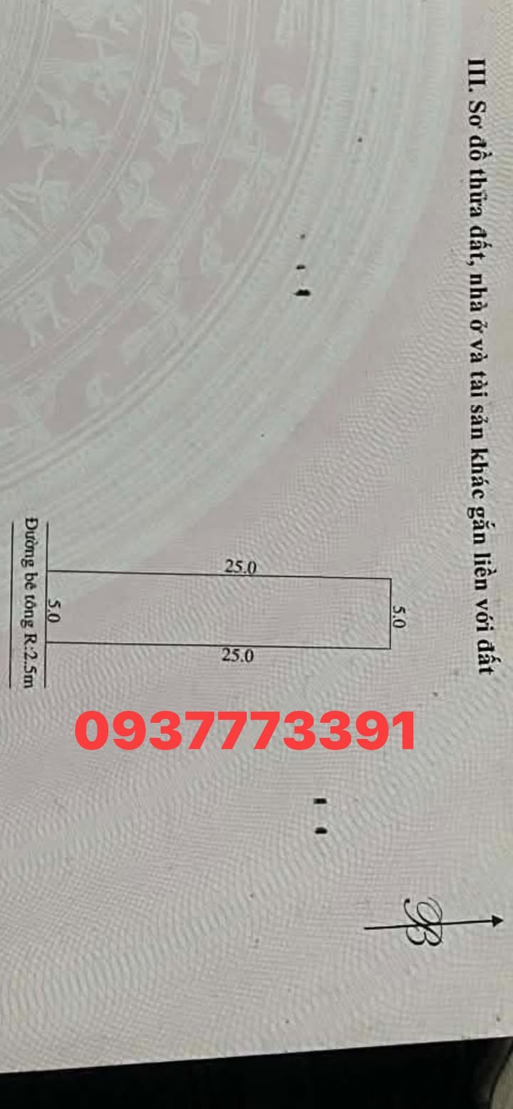 Bán Đất Nền 125m² Điện Hòa, Quảng Nam - Giá 7 Tỷ, Hướng Nam Mát Mẻ