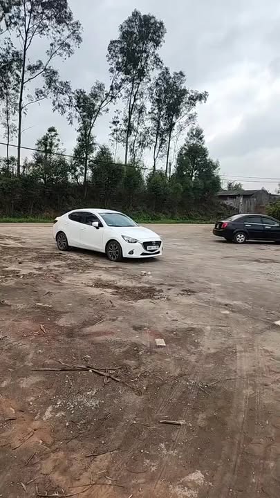 Đất Lục Nam 200m² - Sổ Đỏ Chính Chủ, Giá Tốt Đầu Tư