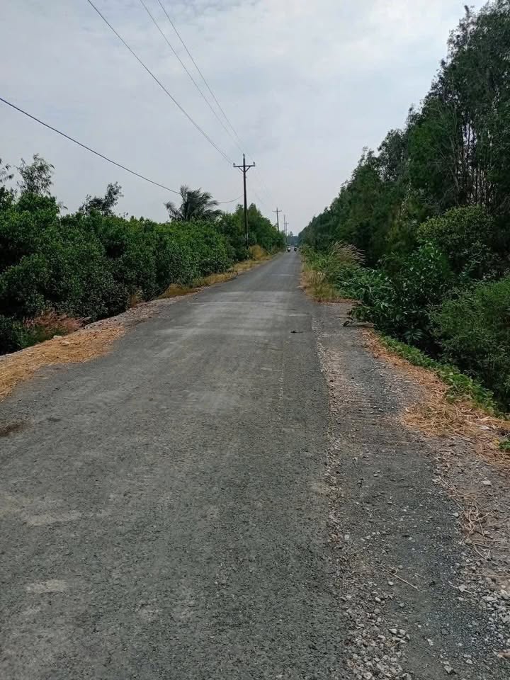 Bán 55 Công Đất Nông Nghiệp Mặt Tiền Rộng 140m Tại Châu Đốc, An Giang