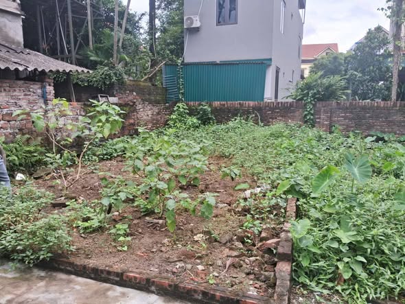 Đất nền Đa Tốn, Gia Lâm 64m² - Sổ đỏ chính chủ, đường to ô tô!