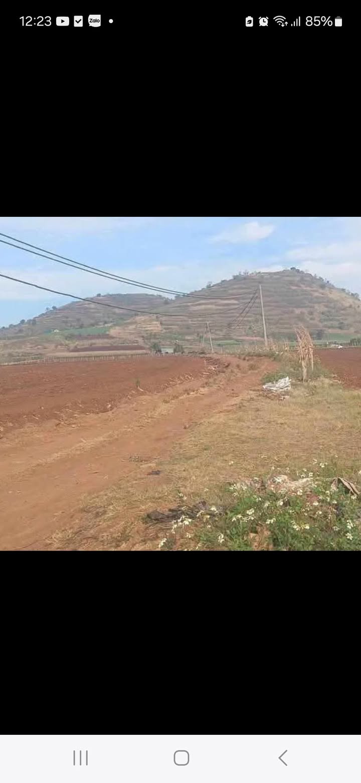 Đất vườn Phú Hội Đức Trọng 6ha view núi Rờ Chai - Nghỉ dưỡng lý tưởng!