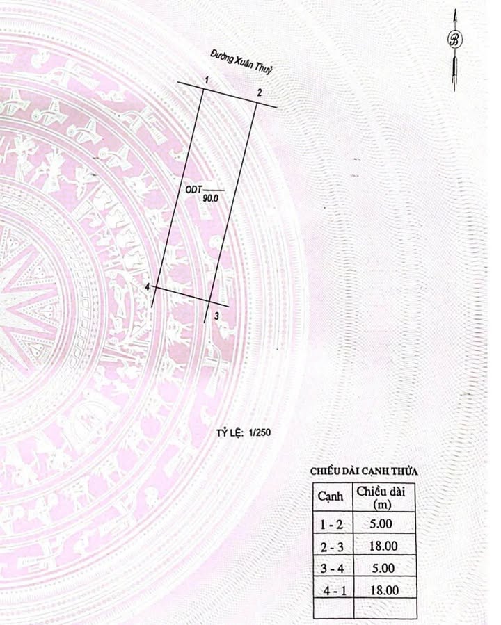 Đất nền mặt tiền Xuân Thủy - ĐT Bãi Viên, Nam Định 90m² - Hướng Đông Bắc