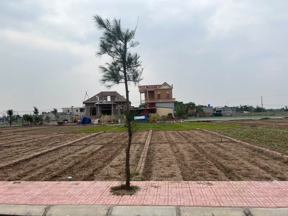 Đất nền Quất Lâm 84m² giá 2x triệu/m² - Sổ đỏ chính chủ