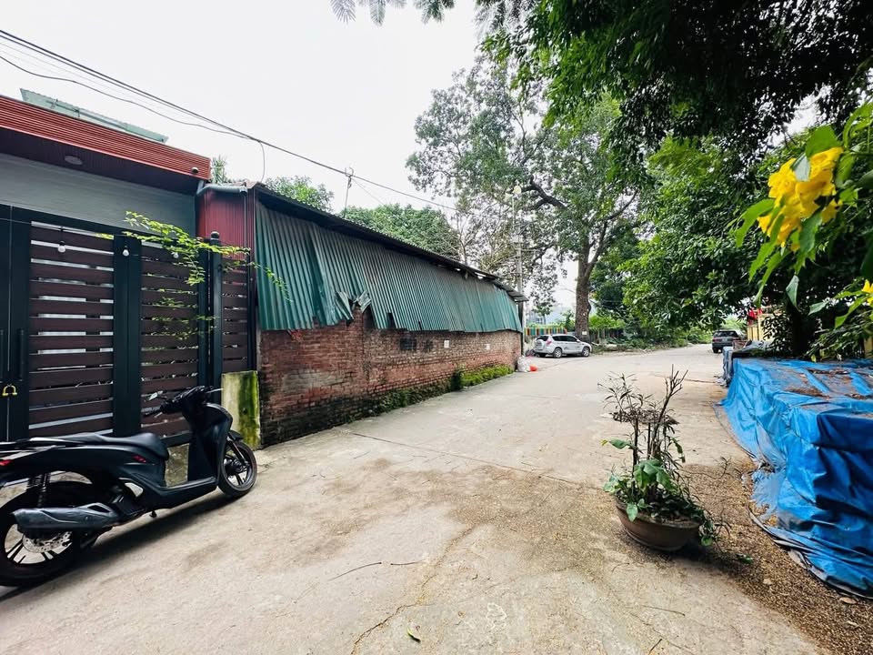 Bán Nhà Cấp 4 Gia Thượng Long Biên 50m² - Ô Tô Tải Tránh, Kinh Doanh Tốt!