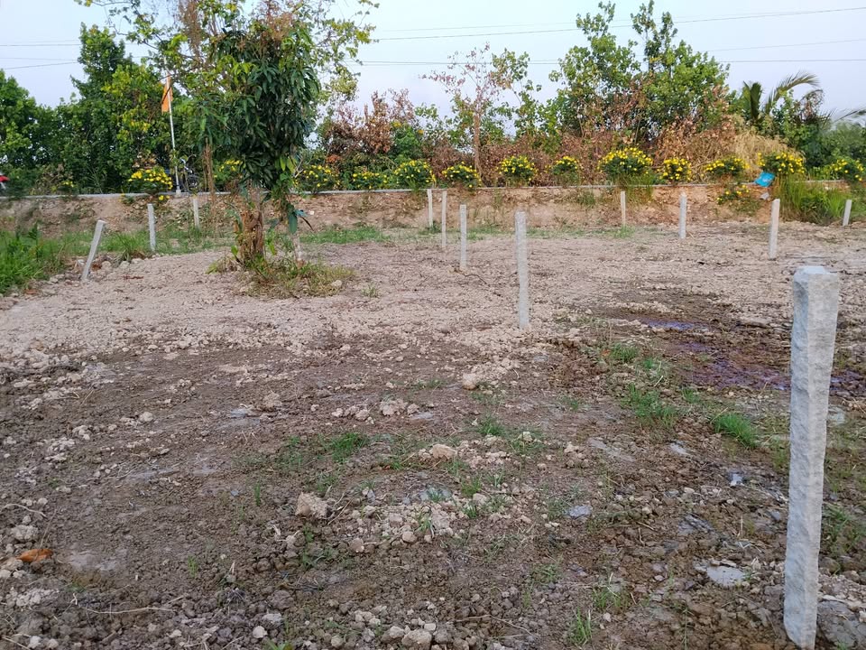 Bán Nền Thổ Cư 110m² Vĩnh Long - Giá 265 Triệu, Gần Chợ Cầu Mới