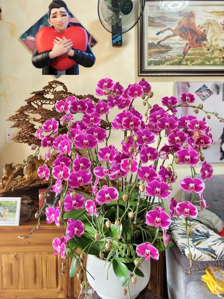 Đất nền Mộc Châu 150m² chỉ 450 triệu - Tiềm năng tăng giá!