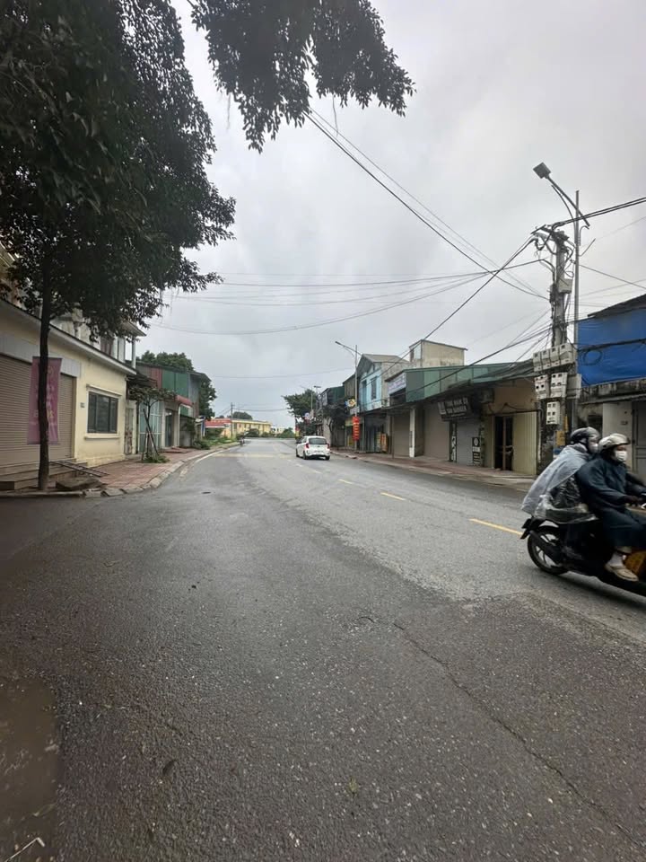 Bán Đất Mặt Đường 427B Tam Hưng 110m² - Vị Trí Kinh Doanh Đắc Địa