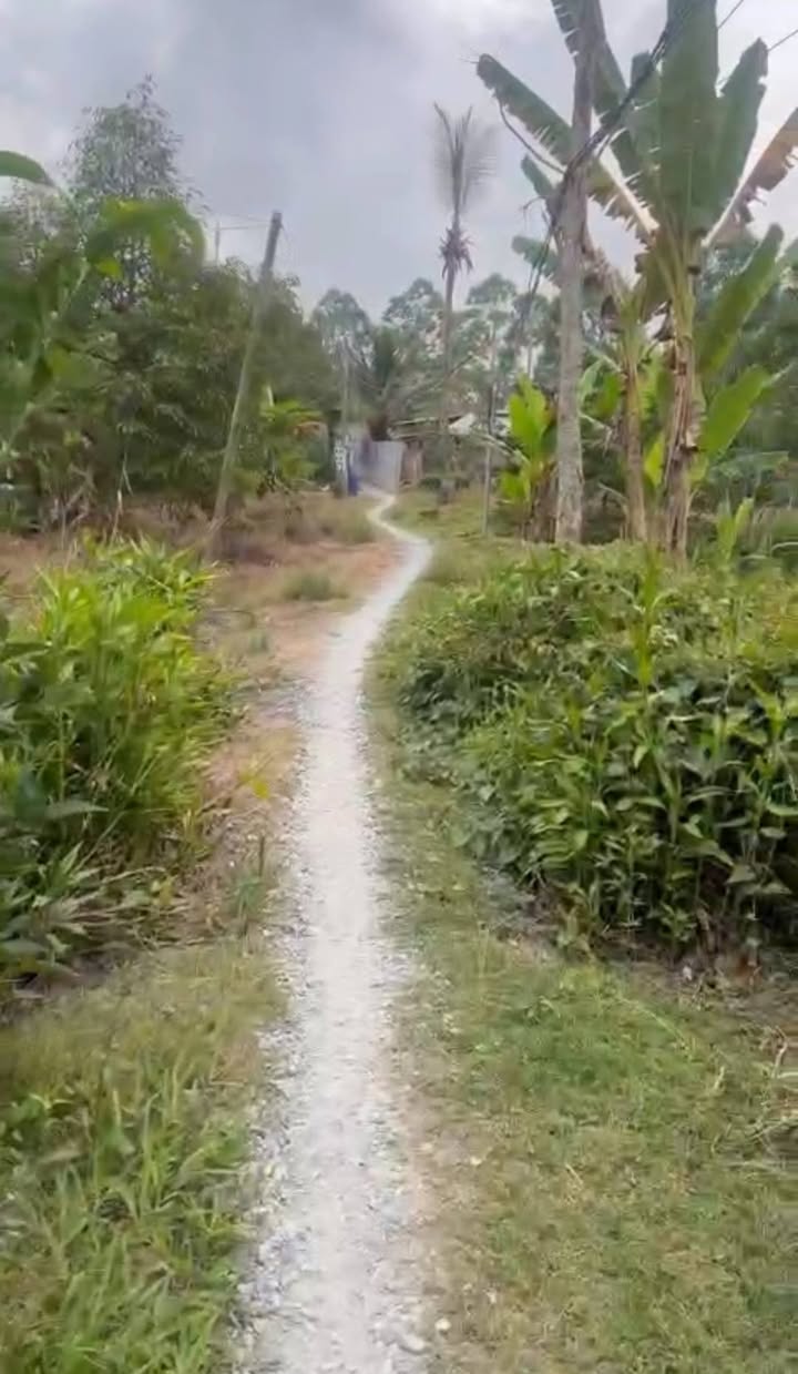 Bán Nền Đất 80m² Thổ Cư, Ấp 1 Cẩm Sơn, Cai Lậy - Giá 300 Triệu/Nền