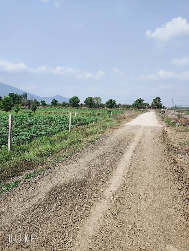 Đất nền Đức Hòa, Long An 60m² giá 399 triệu - Sổ đỏ chính chủ!