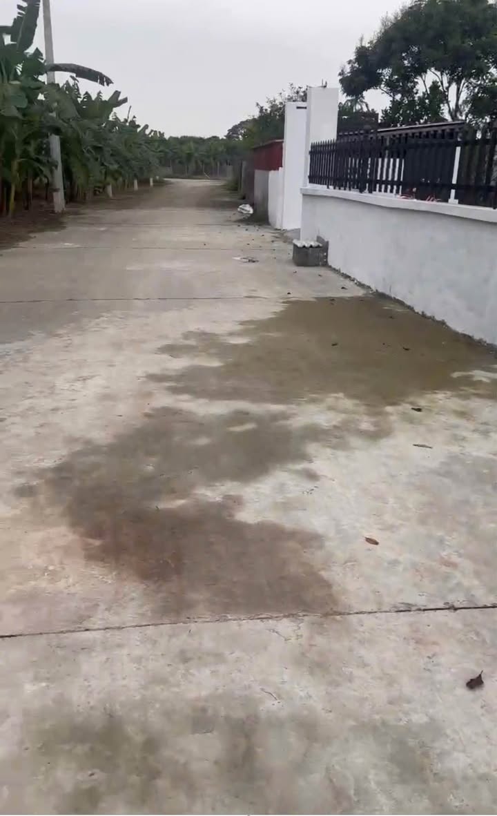 Đất nền Thôn Sỹ Quý Nguyên Hòa 95m² 1.5 tỷ - Đường ô tô tránh