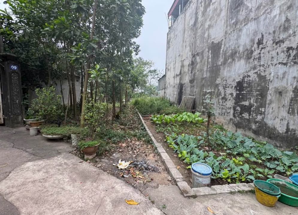 Đất nền Thái Nguyên 136m² Full thổ cư - Gần Tiểu học Lê Văn Tám, Bến xe