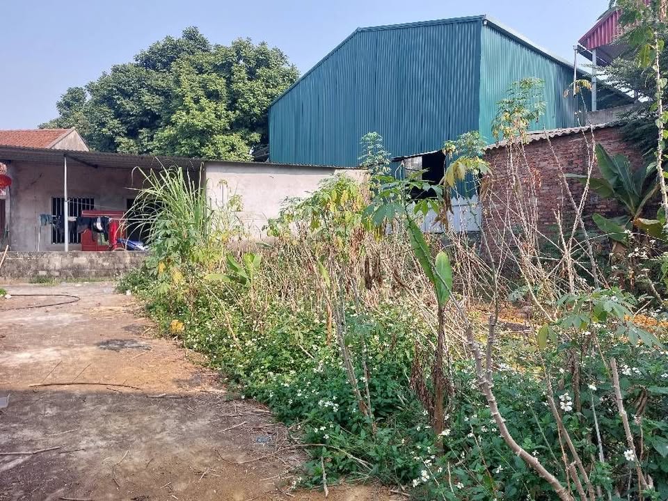 Đất nền Đông Phương Yên 43m2 dưới 2 tỷ - Tiềm năng tăng giá