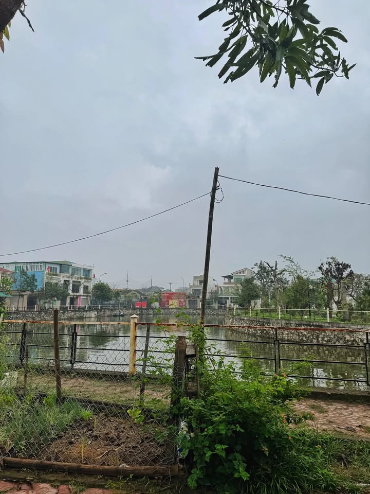 Đất TTTM Chợ Sen Nam Đàn - 132m² Kinh Doanh Đắc Lợi