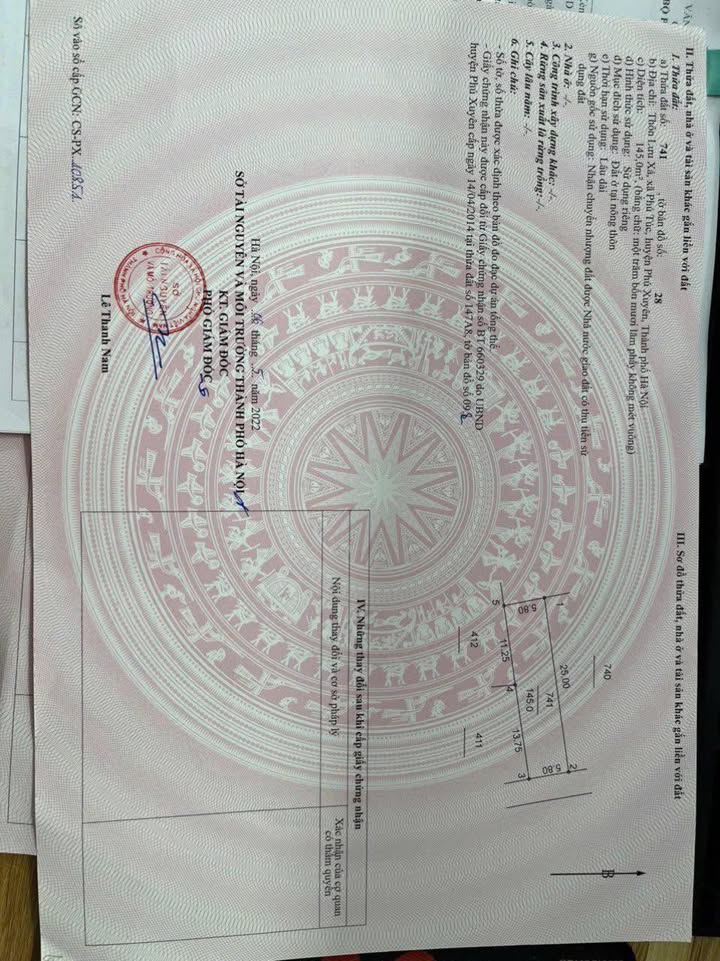 Đất đấu giá Thường Tín 145m² - Sổ đỏ sẵn sàng, ô tô vào tận cửa