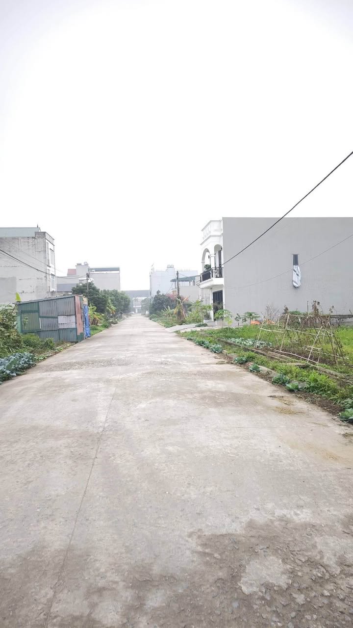 Đất nền Thành phố Nam Định 100m² - Tiềm năng tăng giá vượt trội!