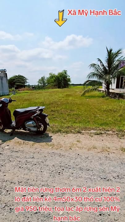 Đất Nền Sổ Hồng 270m² Đức Hòa - Giá 950 Triệu, Sẵn Sàng Xây Dựng