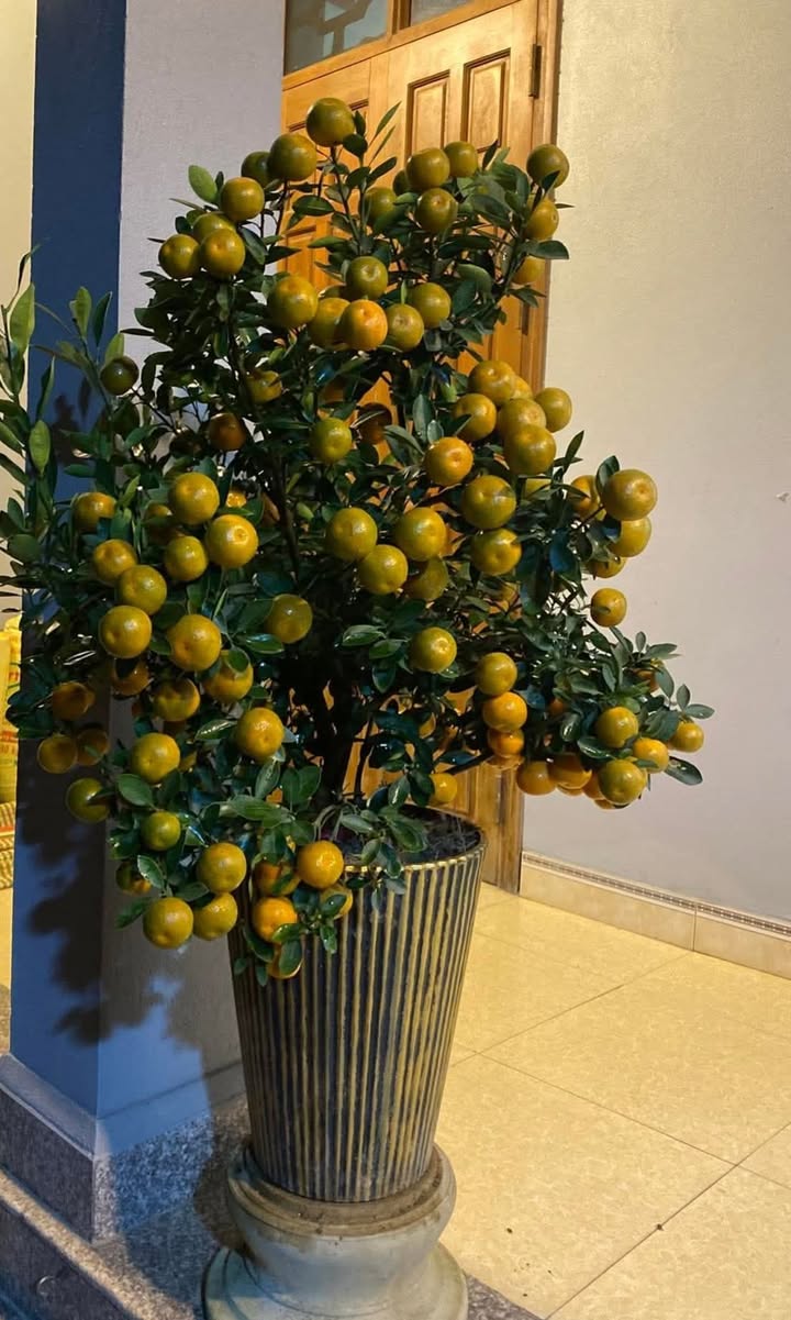 Đất Nền Bài Sơn Đô Lương 140m² - Đường Rộng Thoáng, Giá Chỉ Từ 3xx Triệu