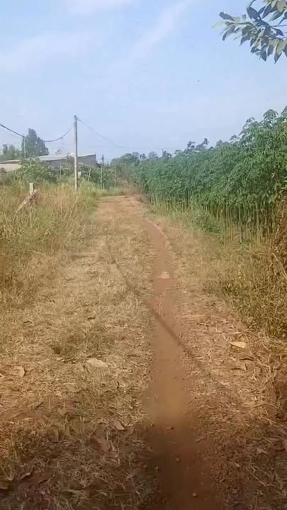 Bán gấp Đất Vườn Đồng Nai 6800m² tại Cẩm Mỹ - Giá chỉ 670 triệu