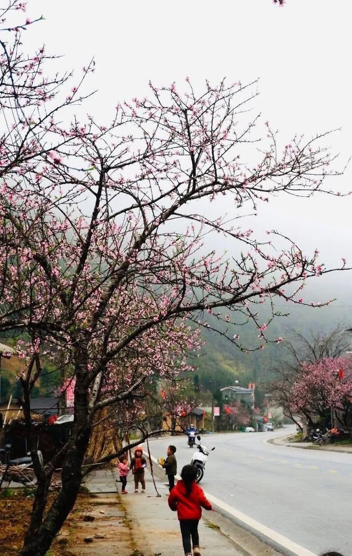 Cho thuê Căn hộ Dabaco Khắc Niệm 2PN full nội thất - Giá 12 triệu/tháng