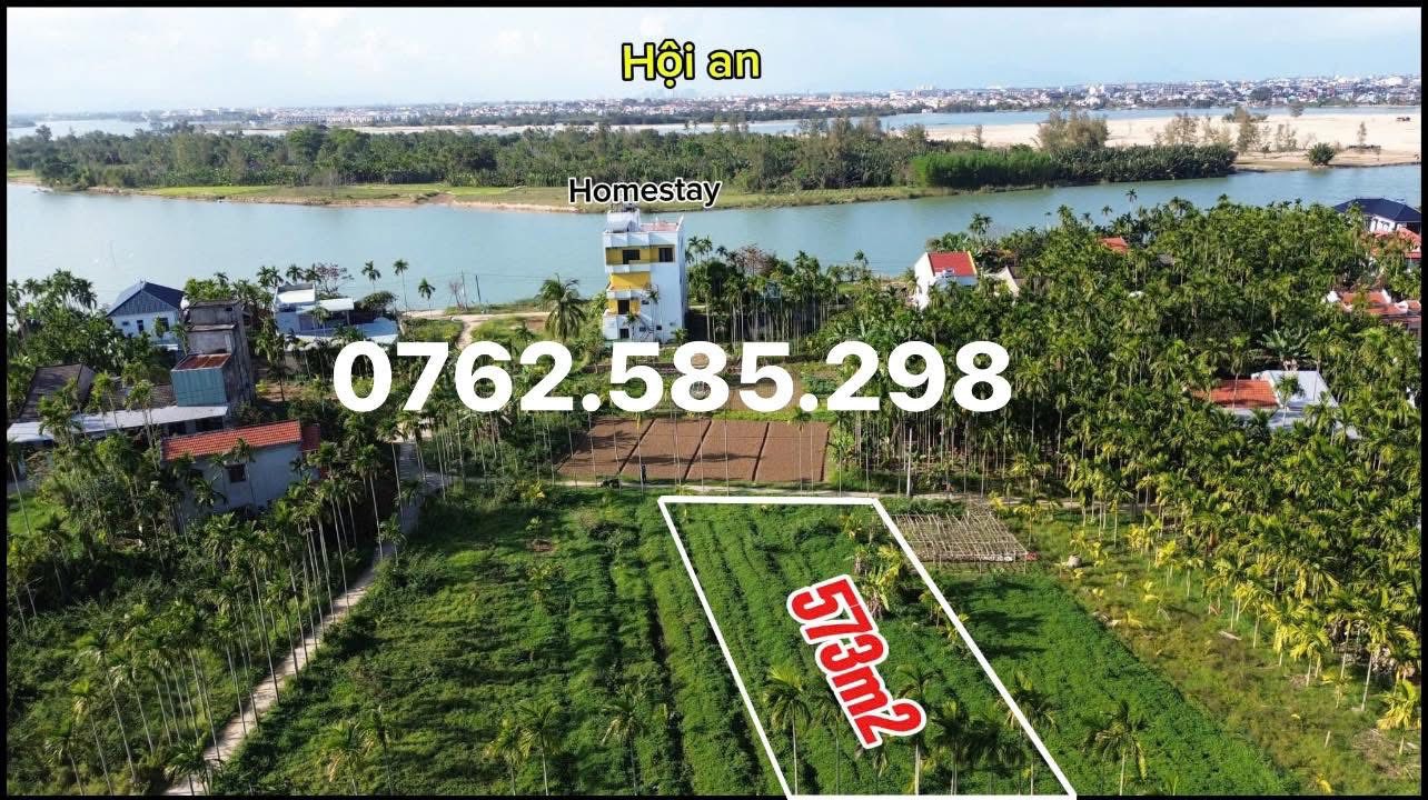 Đất Trồng Cây Trà Nhiêu Duy Vinh 573m² - Tiềm Năng Tăng Giá Vượt Trội!