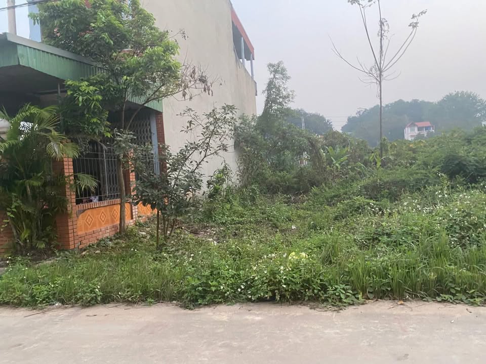 Đất đấu giá 100m² Hợp Thịnh, Hiệp Hòa - Gần QL1A 50m, Giá 1.6 tỷ