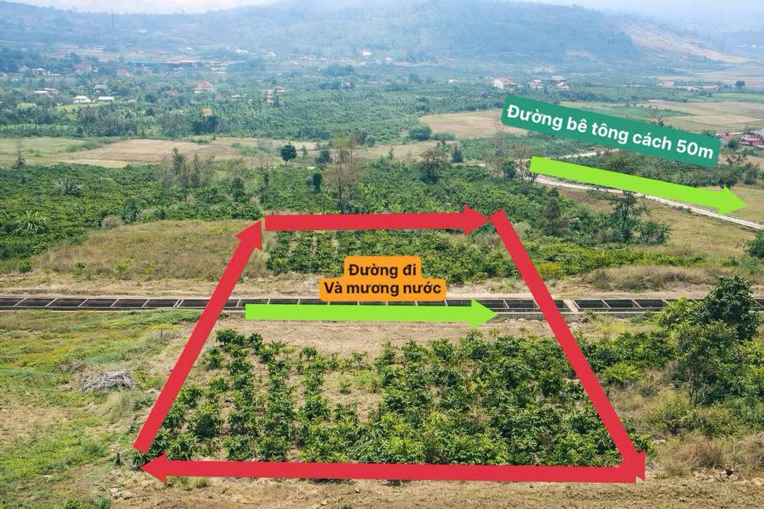 Bán Gấp Đất Xào Đắk Nông - 7000m² Sổ Đỏ, Giá 1.3 Tỷ