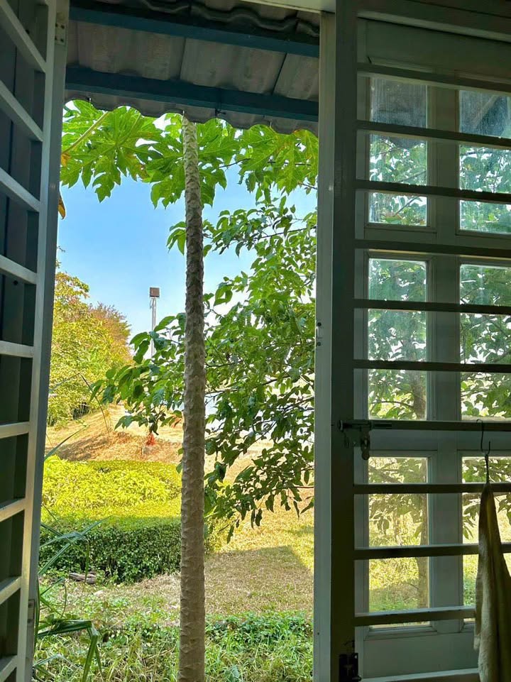 Nhà 75m² HXH Phan Anh, Bình Tân - Giá 5.5 Tỷ