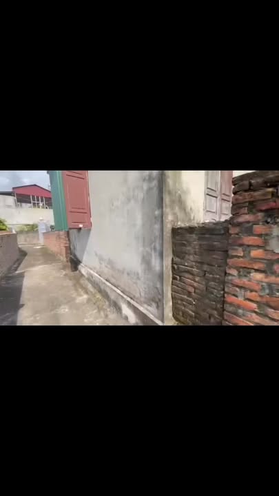 Đất nền Phí Xá 273m² - Tiềm năng tăng giá vượt trội!