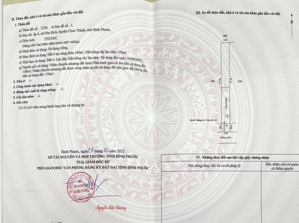 Mặt bằng Đường 24 Chơn Thành 250m² - Mặt tiền kinh doanh đắc địa!