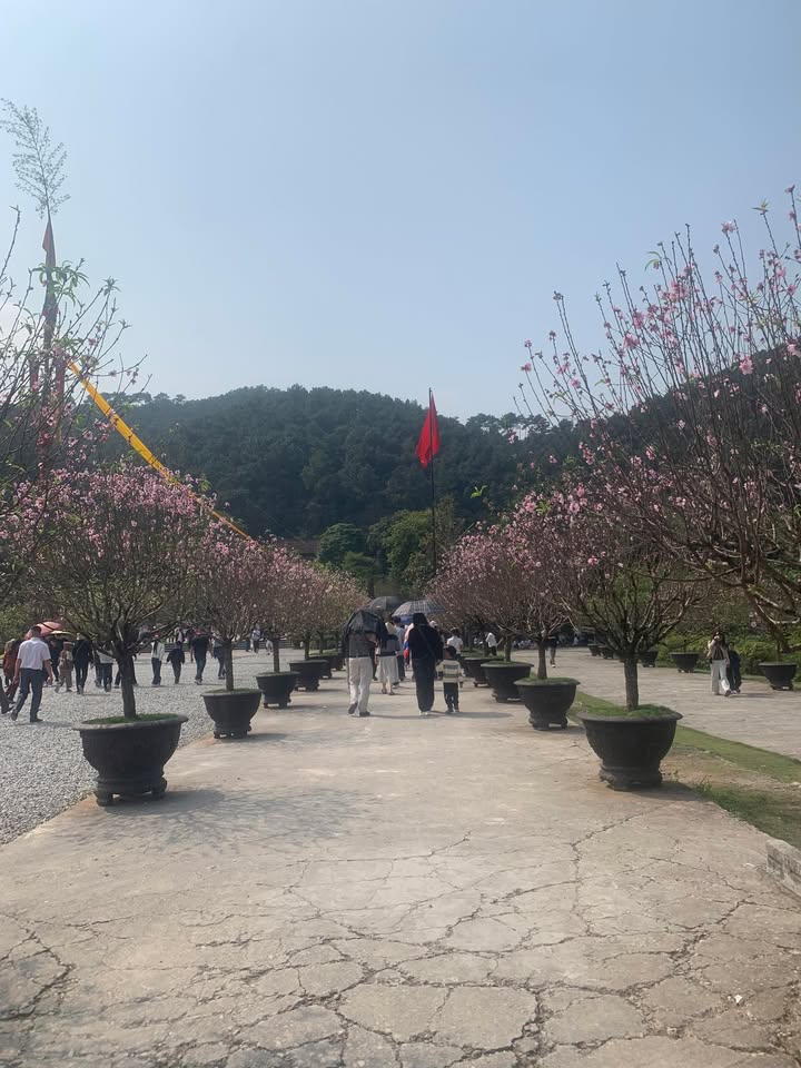 Đất Vườn 420m² Thượng Kiệm, Kim Sơn - Đầu Tư Sinh Lời Hấp Dẫn