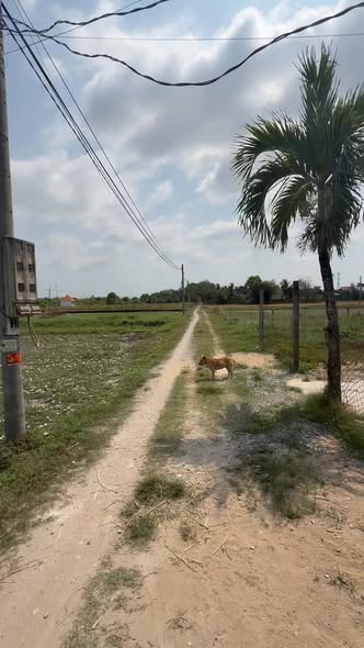 Bán nhà riêng Hòa Khánh Đông Đức Hòa 200m² 1.75 tỷ - Sẵn sàng ở ngay!