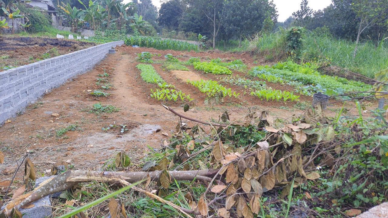 Đất nền Vân Hòa Ba Vì 355m² - Tiềm năng tăng giá vượt trội!