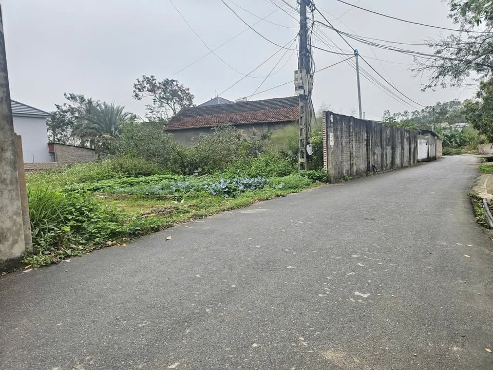 Đất nền Lưu Quang, Tam Đảo 100m² - Sổ đỏ sẵn, đường ô tô