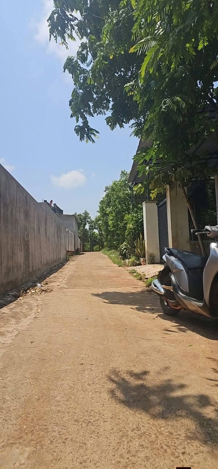 Đất nền Thôn 12 Ea Ktur 310m² - Sổ đỏ chính chủ, tiềm năng tăng giá!