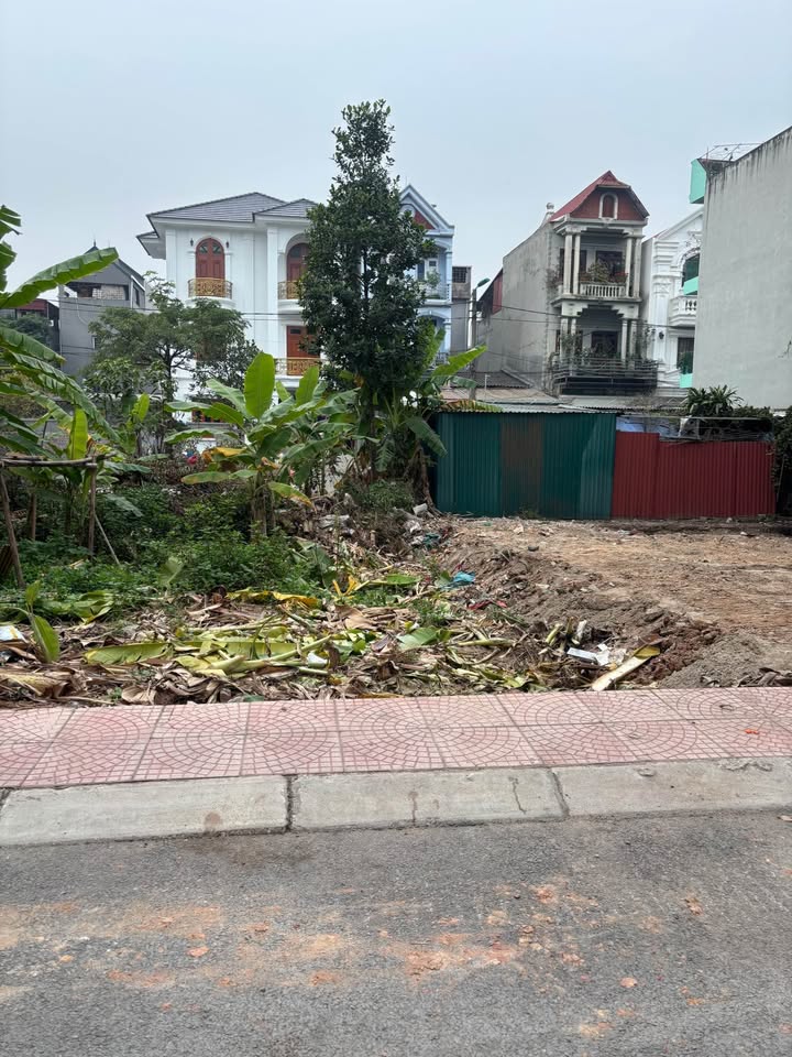 Bán Đất Đông Thành Vĩnh Yên 50m² - Sổ Đỏ Chính Chủ, Giá Đầu Tư