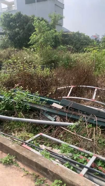 Bán Đất Vườn Nam Định 310m² - Sẵn Sàng Xây Biệt Thự/Đầu Tư