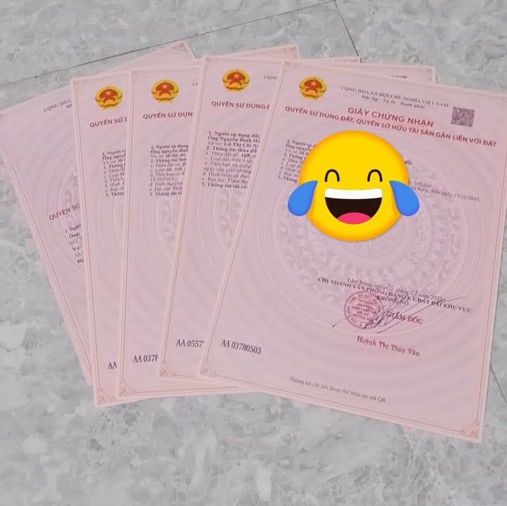 Bán nhà đất Nam Đà Krông Nô 240m² giá 1.55 tỷ - Ô tô vào tận nhà!