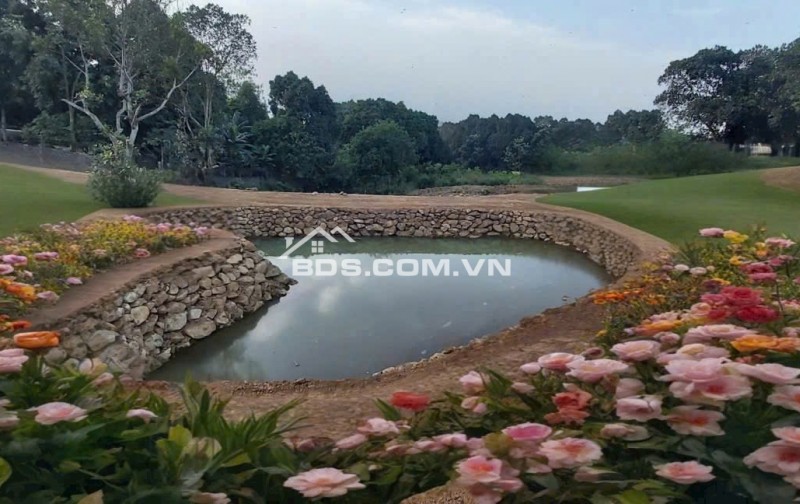 Đất Nghỉ Dưỡng Lương Sơn 11.700m² - View Cao Thoáng, Giá Tốt Gần Hà Nội