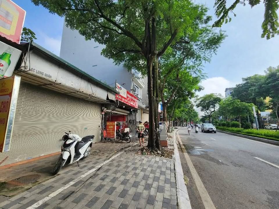 Bán Đất Mặt Tiền Lạc Long Quân 166m² - Vị Trí Vàng Kinh Doanh