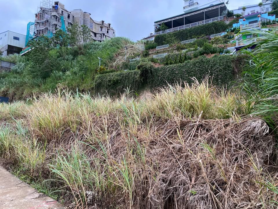 Đất nền Phường 3 Đà Lạt 119m² giá 1.65 tỷ - Đường ô tô, sang tên ngay!