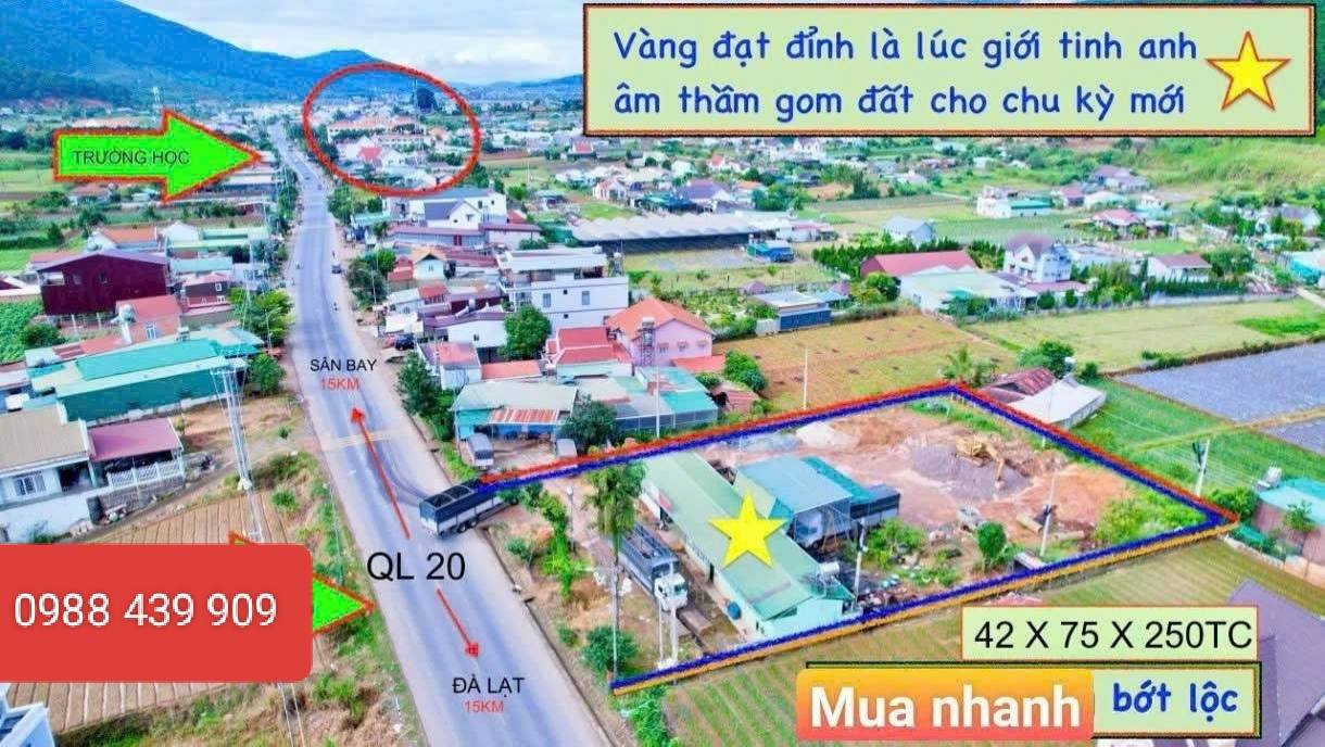 Đất nền Định An, Đức Trọng 3150m² - Tiềm năng tăng giá vượt trội!