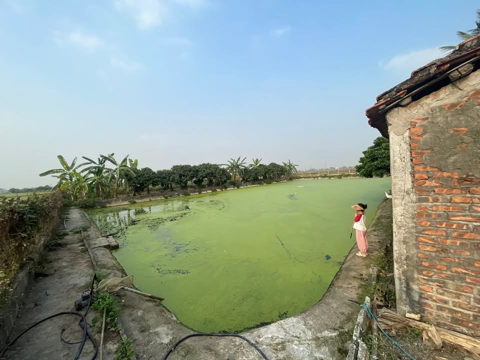 Trang trại Hồng Quang 4464m² - Nghỉ dưỡng lý tưởng