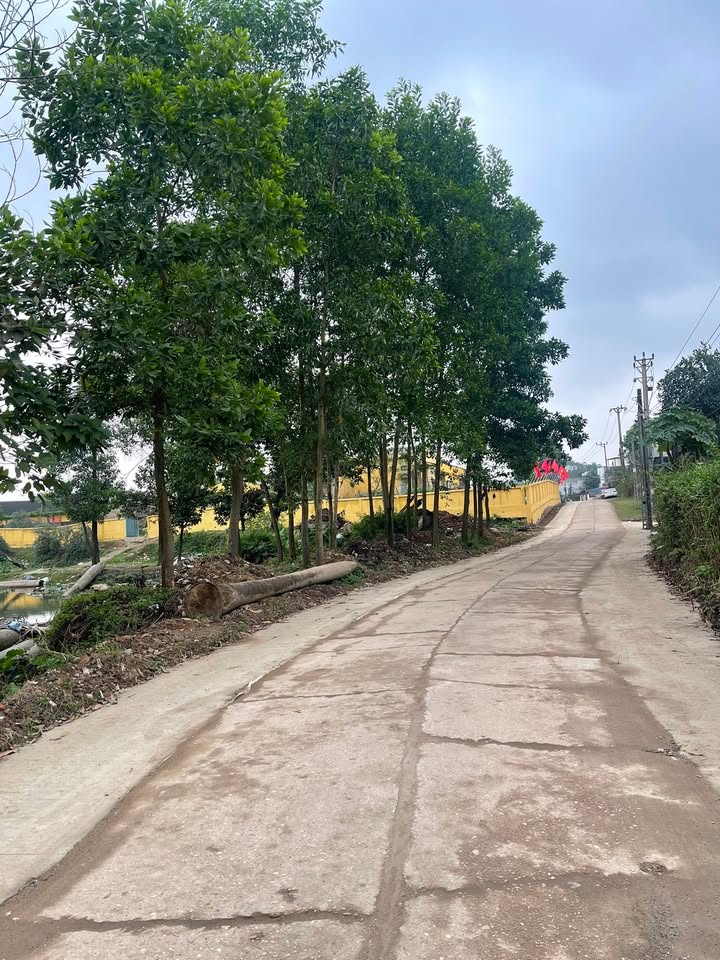 Đất Nền Gia Sàng, Thái Nguyên - 90m², Vuông Vắn, Giá 1 Tỷ+