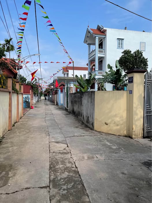 Đất nền Liên Minh, Đan Phượng 83m² - Tiềm năng tăng giá vượt trội!