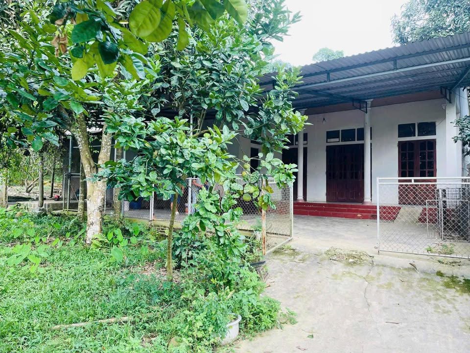 Nhà phố & Đất Huyện Hạ Hòa 255m² - Mặt tiền kinh doanh sầm uất!