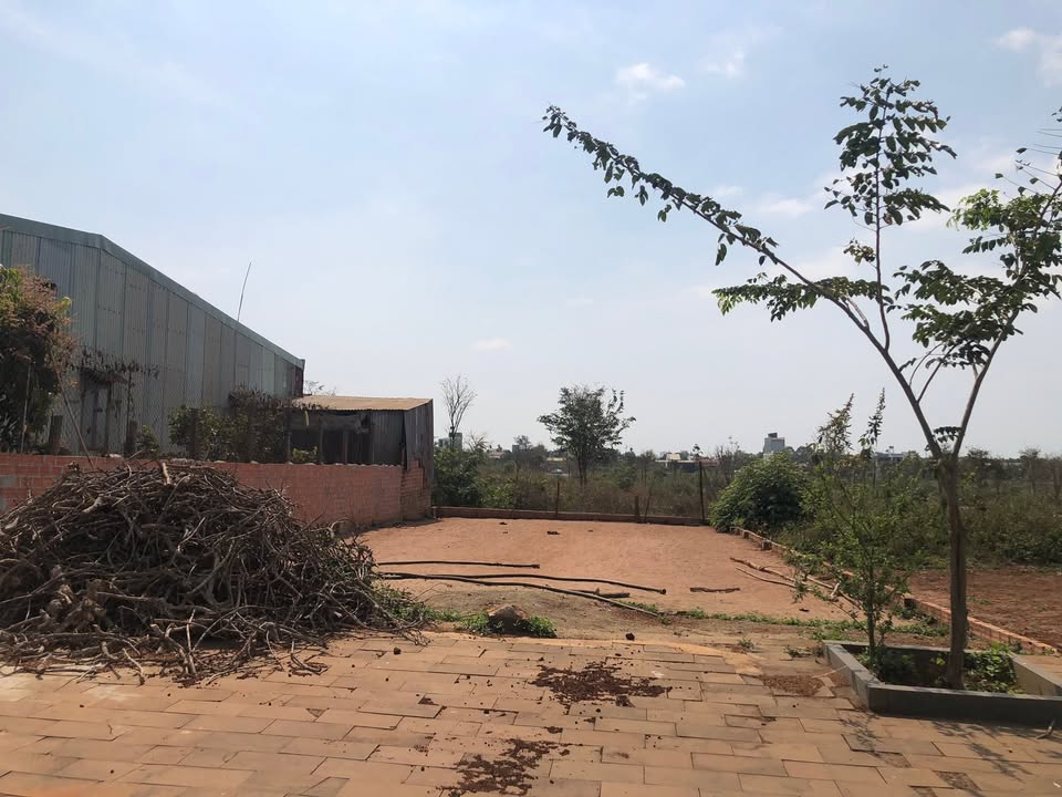 Đất Nền Mặt Tiền Lê Duẩn Chư Sê - 250m², Sẵn Sàng Đầu Tư