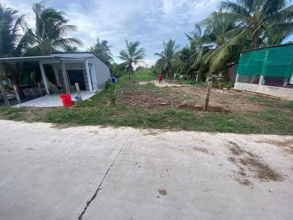 Đất nền Ba Tri, Bến Tre 595m² 430 triệu - Đường to ô tô, kinh doanh tốt!